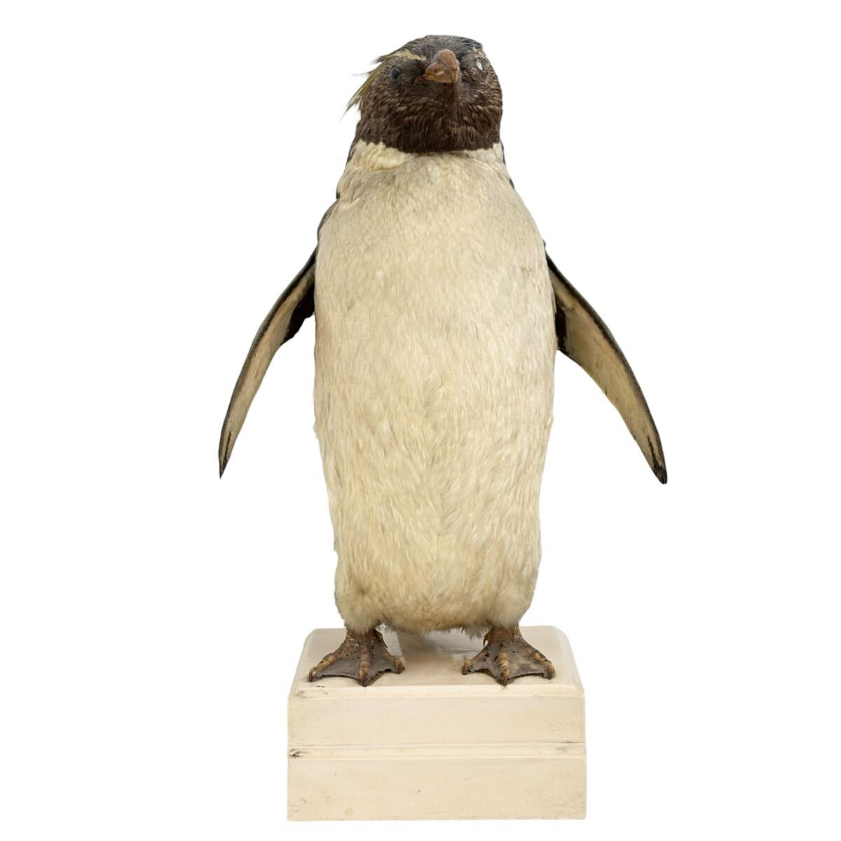 中古】HIROKUN HOUSE ヒロクンハウス イワトビペンギンぬいぐるみ(青
