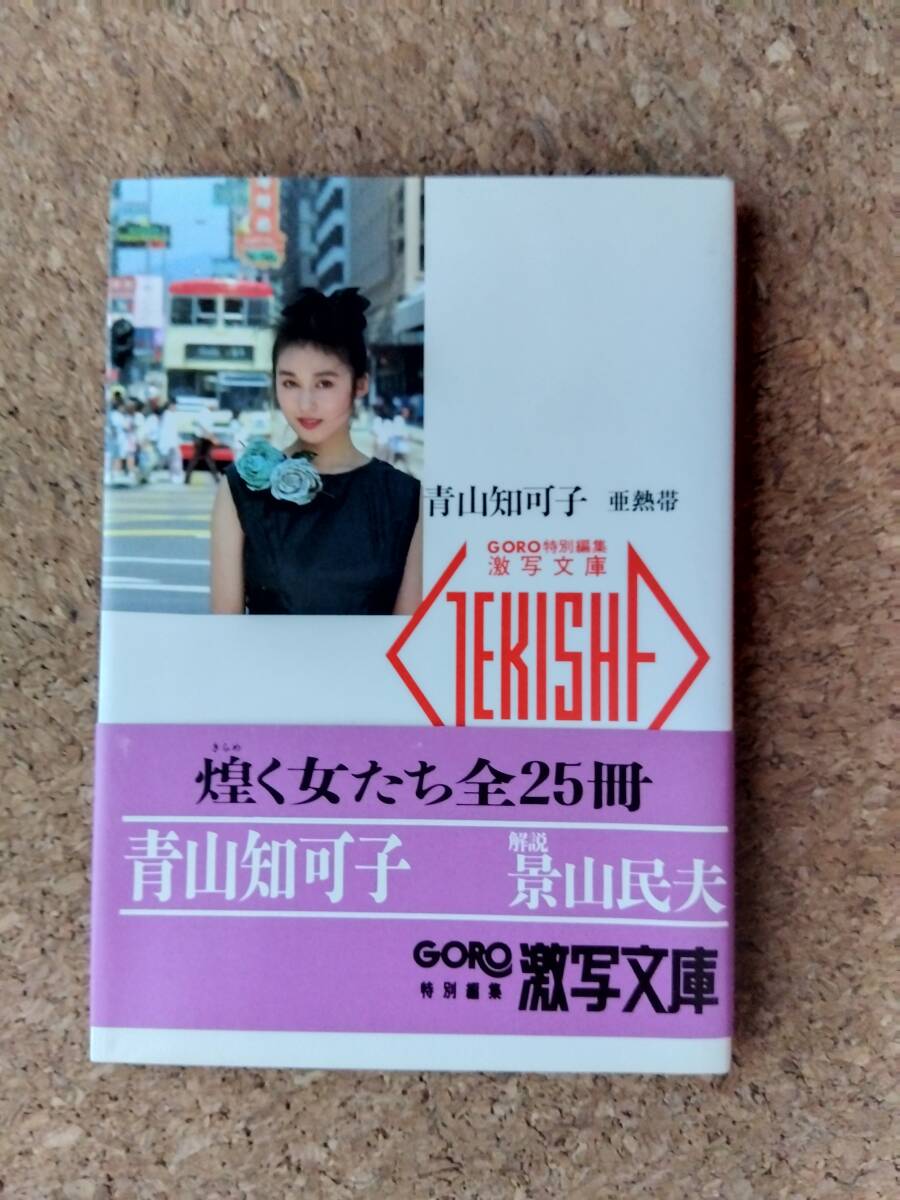 中古品・同梱歓迎】青山知可子「亜熱帯」写真集・帯付き/GORO激写文庫