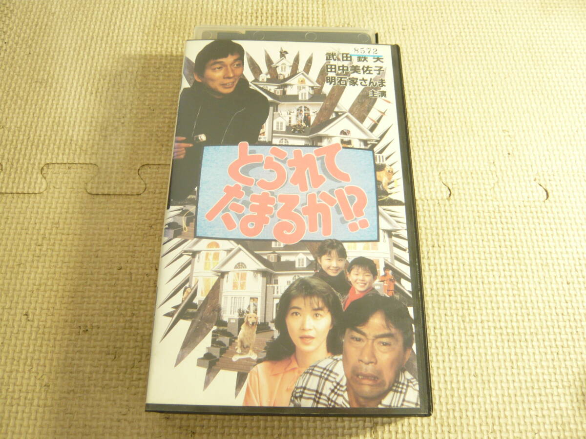 z2072 「とられてたまるか！？」 レンタル用DVD/武田鉄矢/田中美佐子