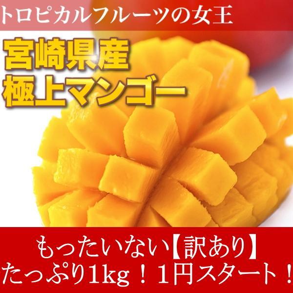 訳アリマンゴー正味2kg① 食品 訳アリマンゴー正味2kg①
