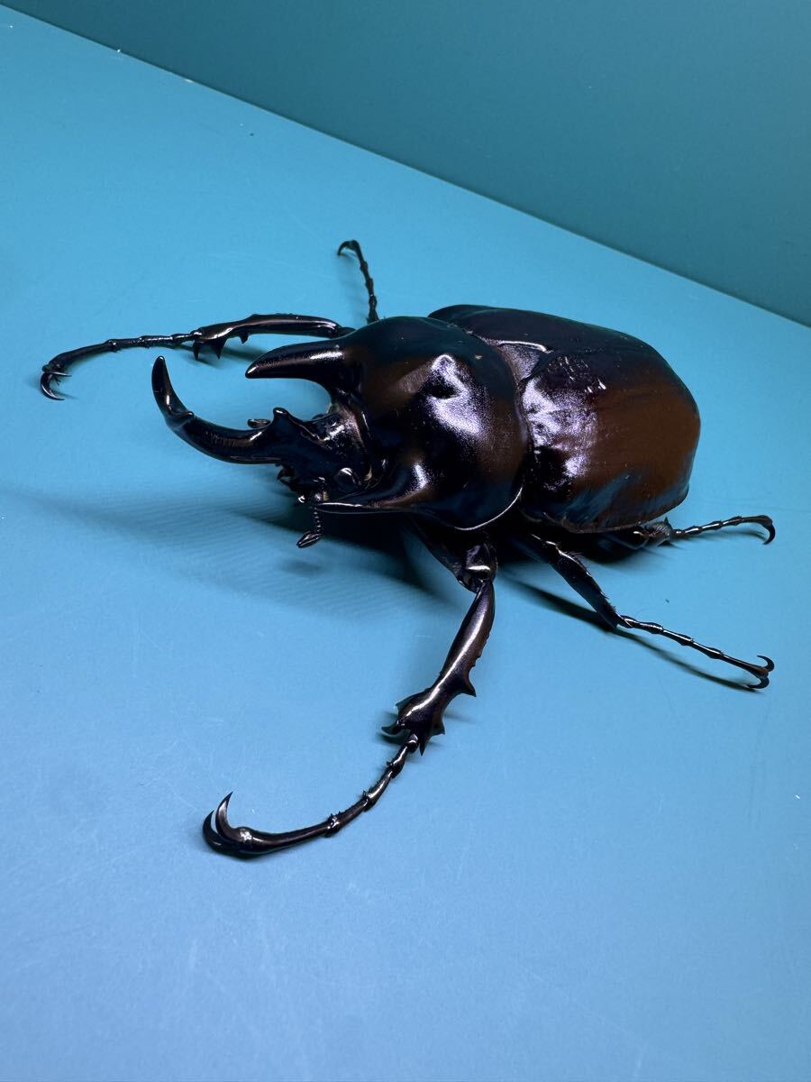 アクティオンゾウカブト ムシキング 2003春 甲虫王者ムシキング 2003年夏 金レア つよさ200 アクティオン