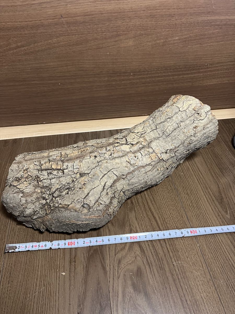 ① 6個 まとめて セット/竹製 竹籠 鳥籠 鳥かご メジロ籠/1尺×4/水場