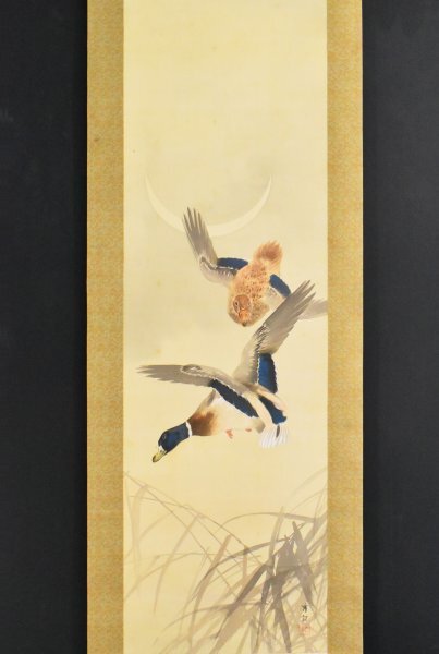 中古】1000/□池上秀畝 花鳥図 掛軸 日本画 肉筆 落款在 絹本 軸装の