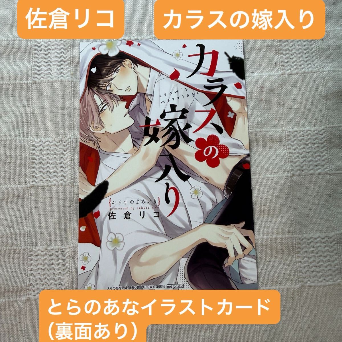 絶望に啼け 上下巻 紫能了 とらのあな 限定版 有償特典 小冊子