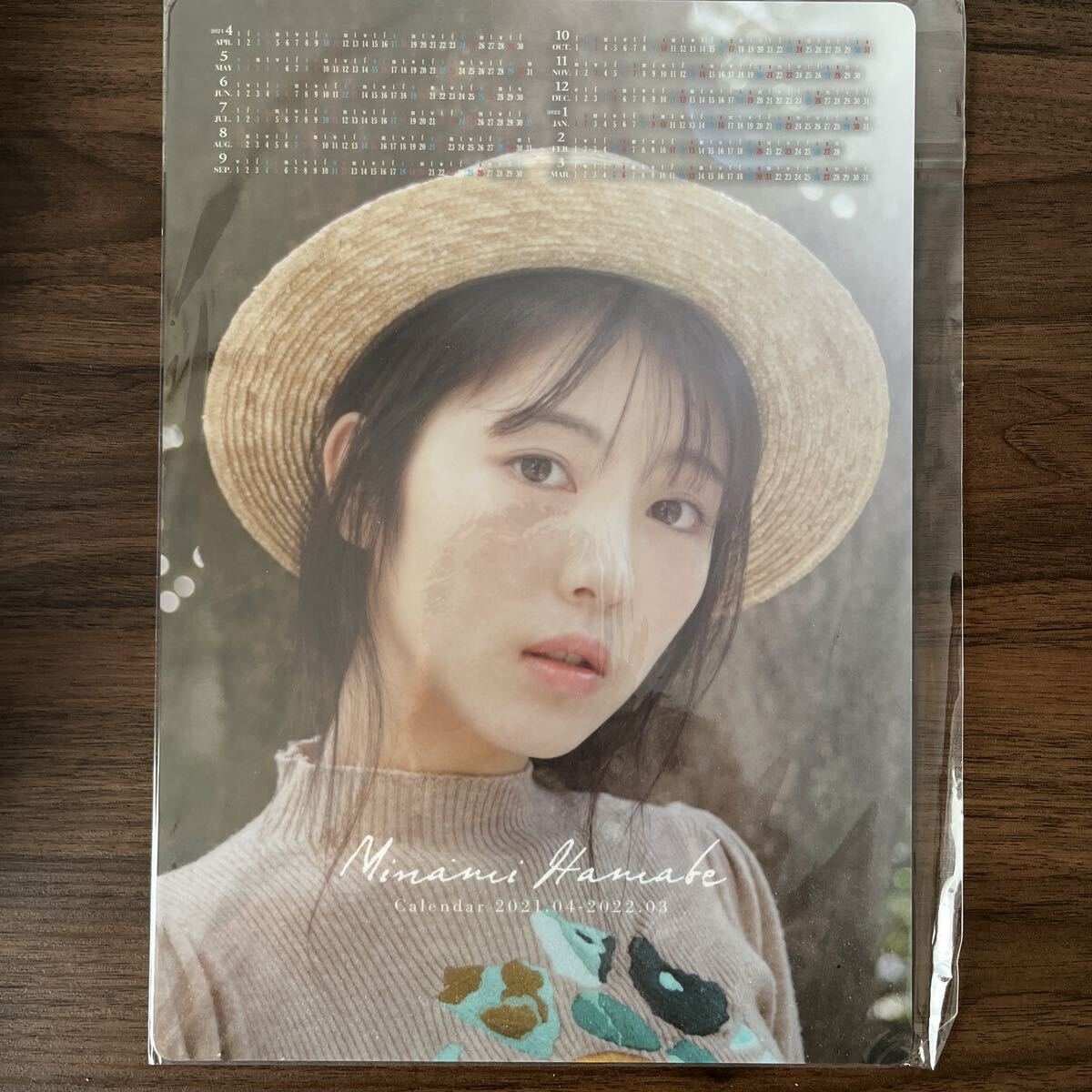 新品】浜辺美波 『気ままに美波』 特典表裏クリアファイル②の落札情報