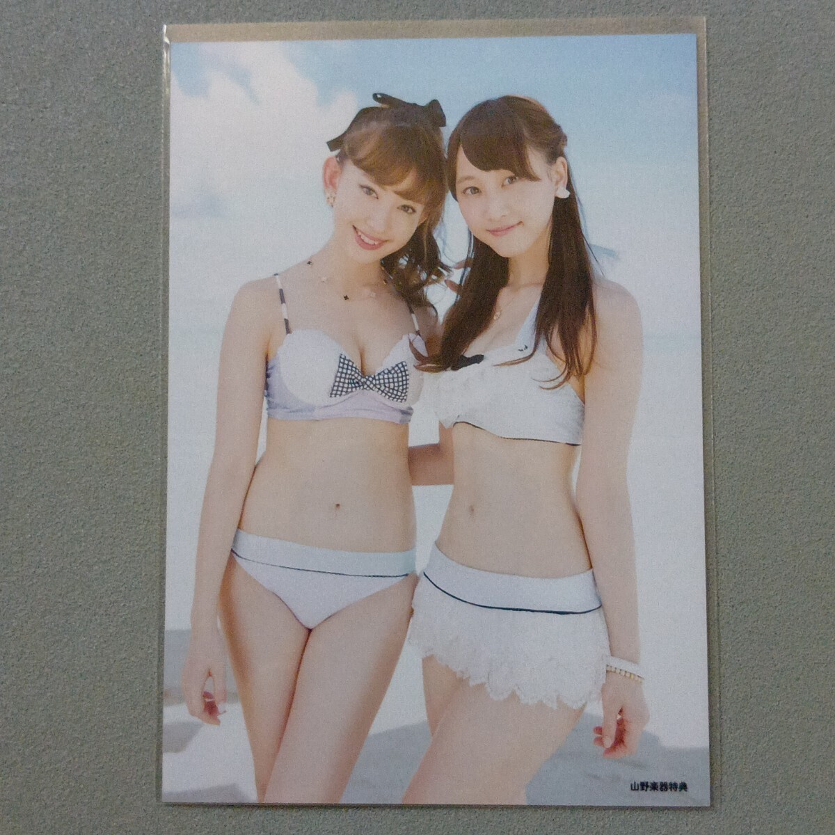 AKB48 山本彩 渡辺麻友 高橋みなみ ラブラドール・レトリバー