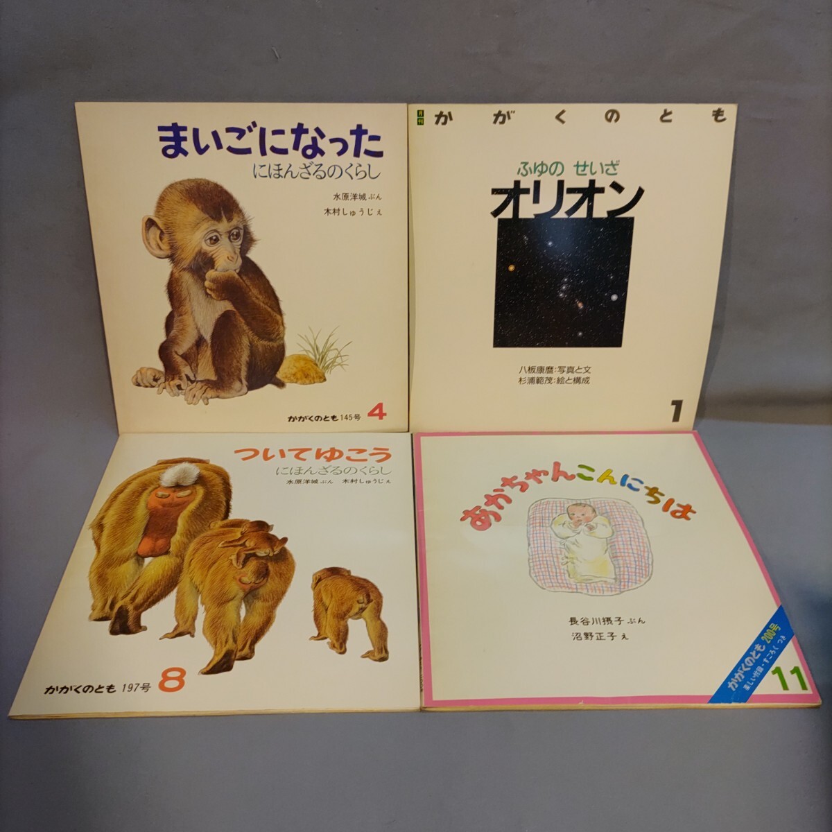 絵本「いわな」横内陽☆やまおくにすむさかな☆かがくのとも☆保育園