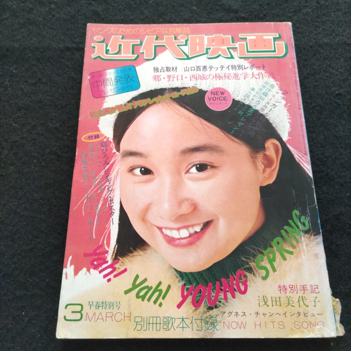 昭和レトロ 70年代 平凡6月号 付録両面ポスター 麻丘めぐみ 郷ひろみ