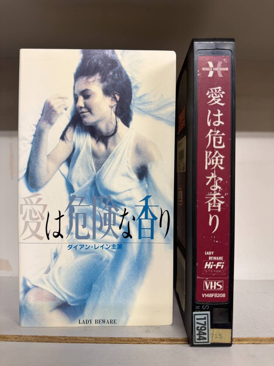 未DVD化 稀少ビデオ 愛は危険な香り ダイアン・レイン カレン