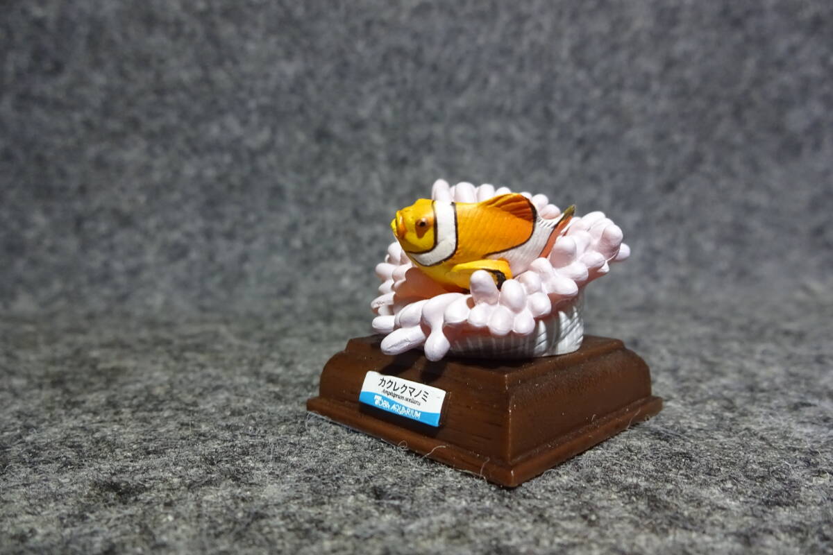 1円スタート！！】ネイチャーテクニカラー 鳥羽立体水族館コレクション