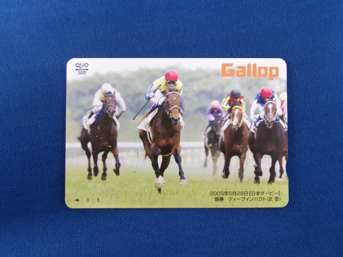 ディープインパクト JRA G日本ダービー レプリカゼッケンの落札情報