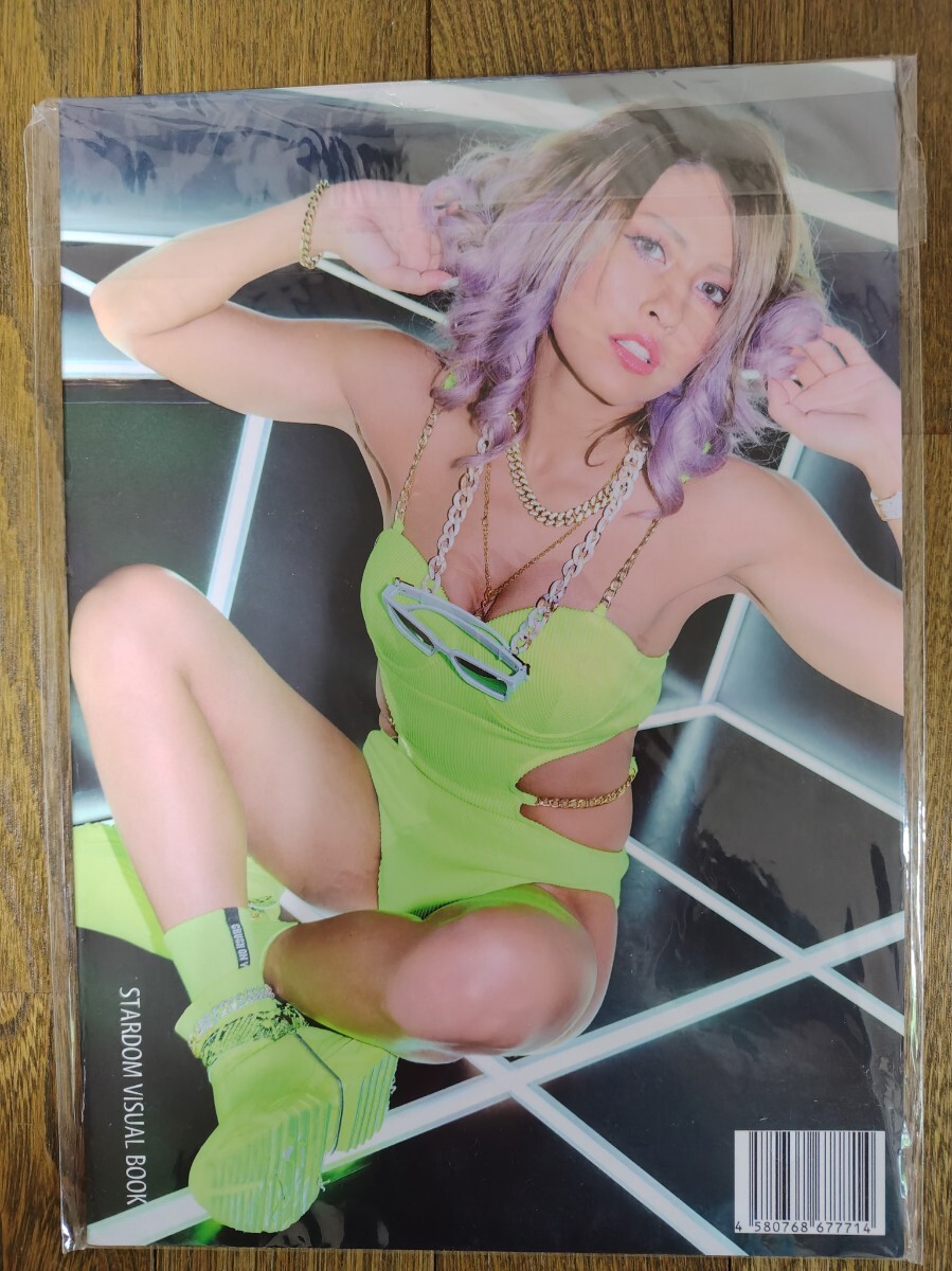 美品 Bikiniing スターダム 女子プロレス写真集 紫雷イオ 宝城カイリ