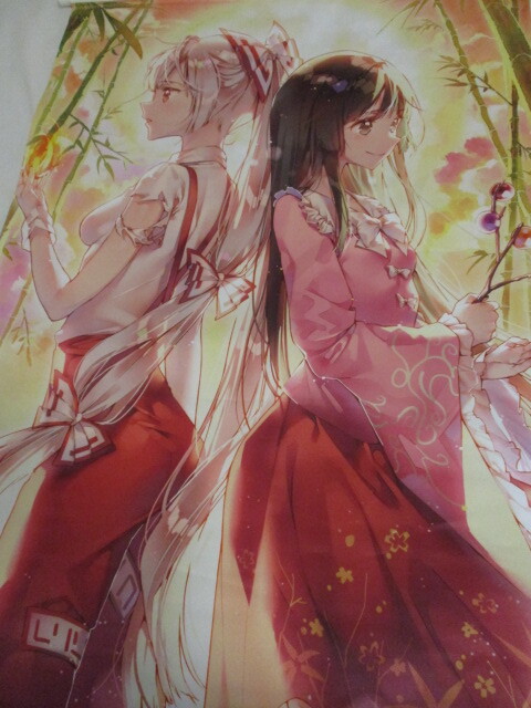 新品】手描きイラスト・東方project・蓬莱山輝夜・B5・モノクロ・ペン