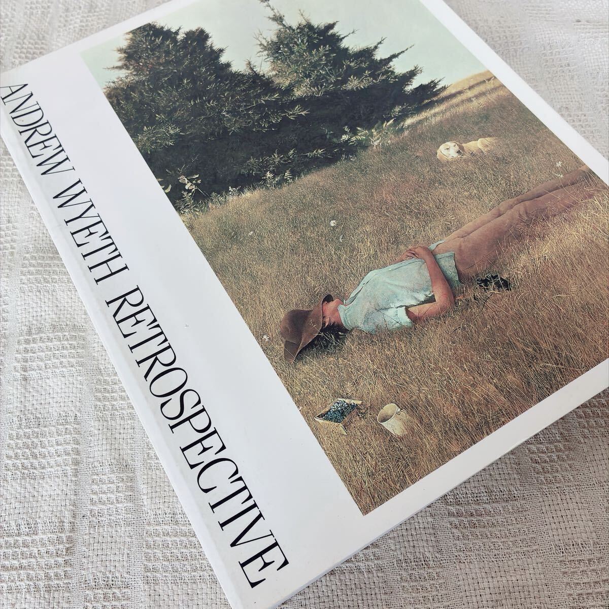 69266/アンドリュー・ワイエス 5冊セット 図録 洋書画集 Andrew Wyeth