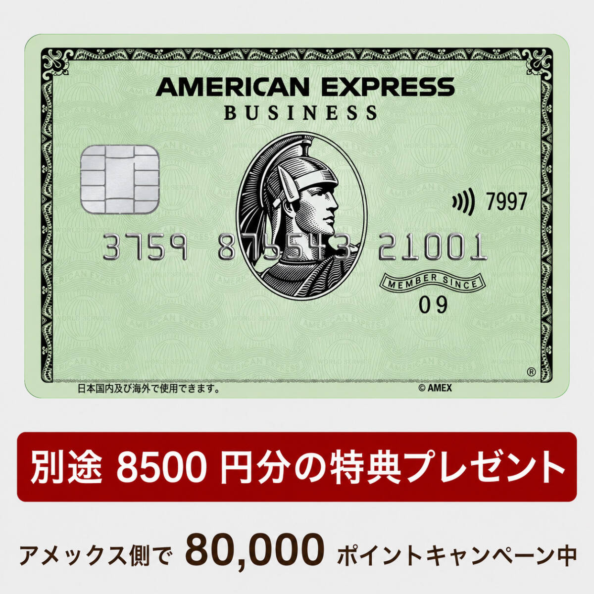 新品】アメリカン・エキスプレス アメックス プラチナ 限定トランプ 本
