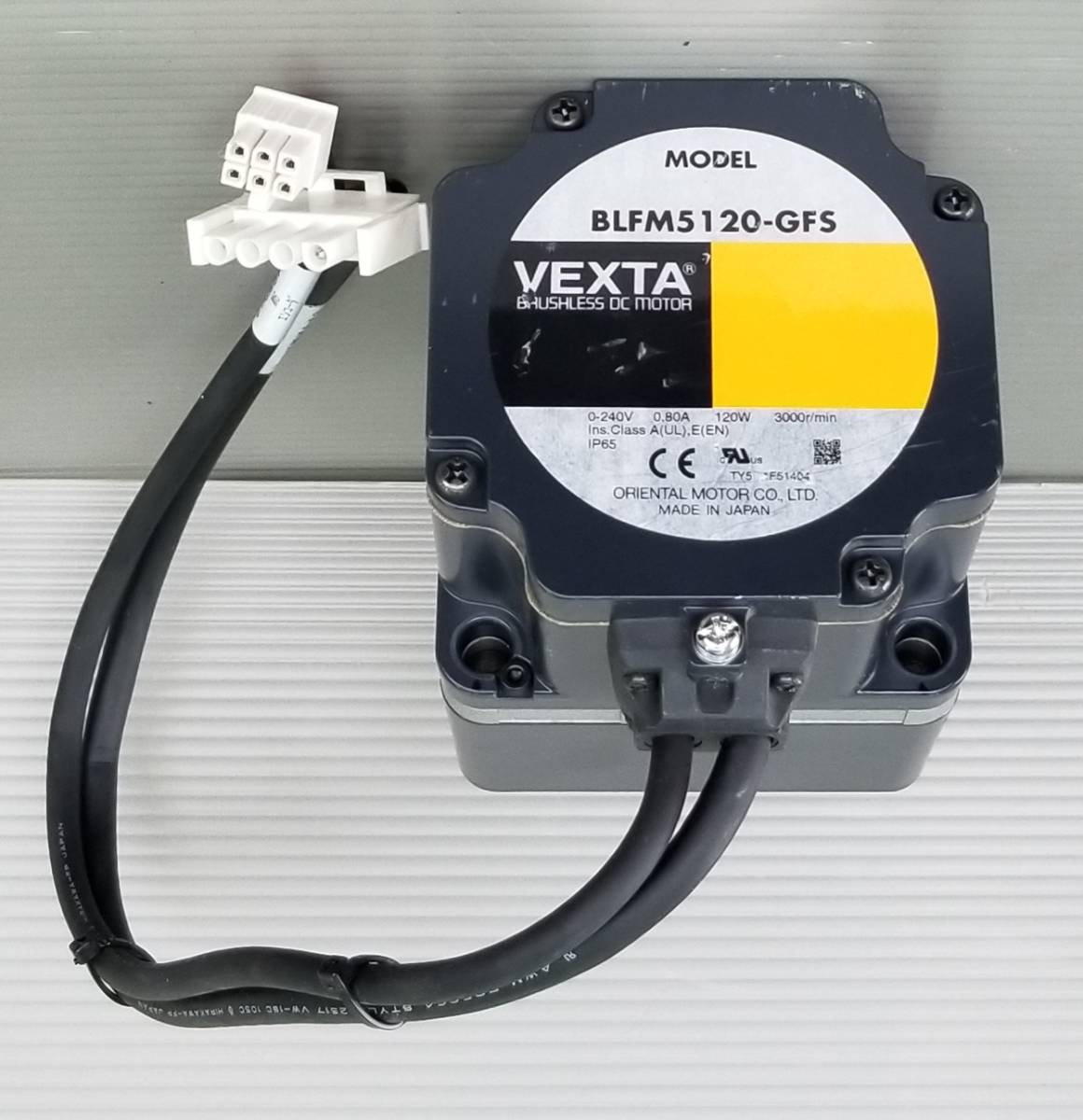 Die In Cries TAKASHIモデル 五弦ベース RB-115DC Die In Cries TAKASHIモデル 五弦ベース RB-115DC