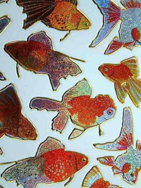 新品】☆ 金魚 きんぎょ 魚 シール ステッカー 出目金 琉金
