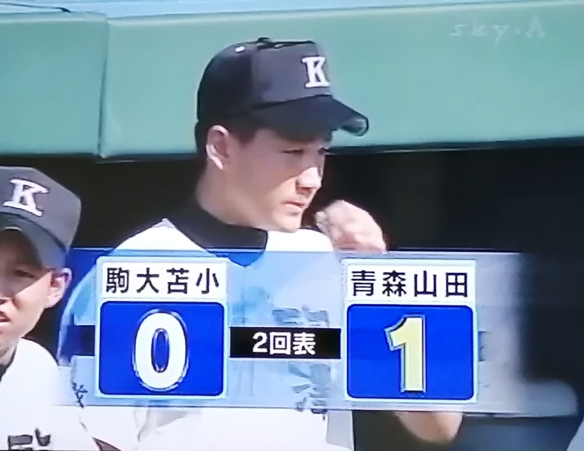 夏甲子園駒大対早稲田DVD2006 高校野球 平成18年 駒大苫小牧 青森