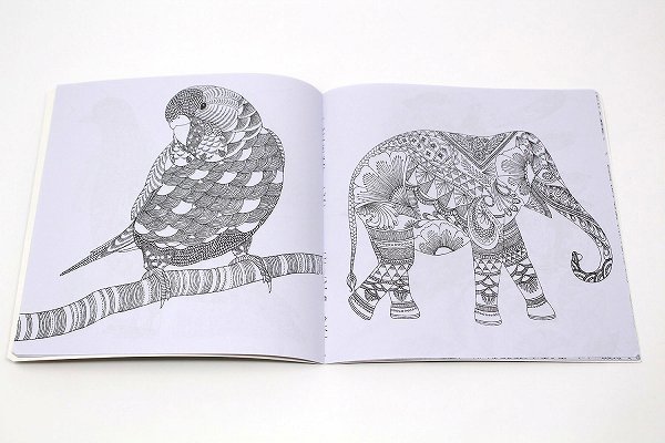 新品 Bvb アウトレット 塗り絵 Animal Kingdom 英語版 アニマルキングダム ぬり絵 ブック 大人 子供 の落札情報詳細 ヤフオク落札価格情報 オークフリー スマートフォン版