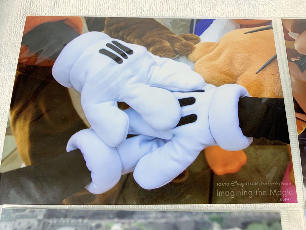 新品】☆新品未開封 ディズニー 生写真2 篠山紀信 イマジニングザ