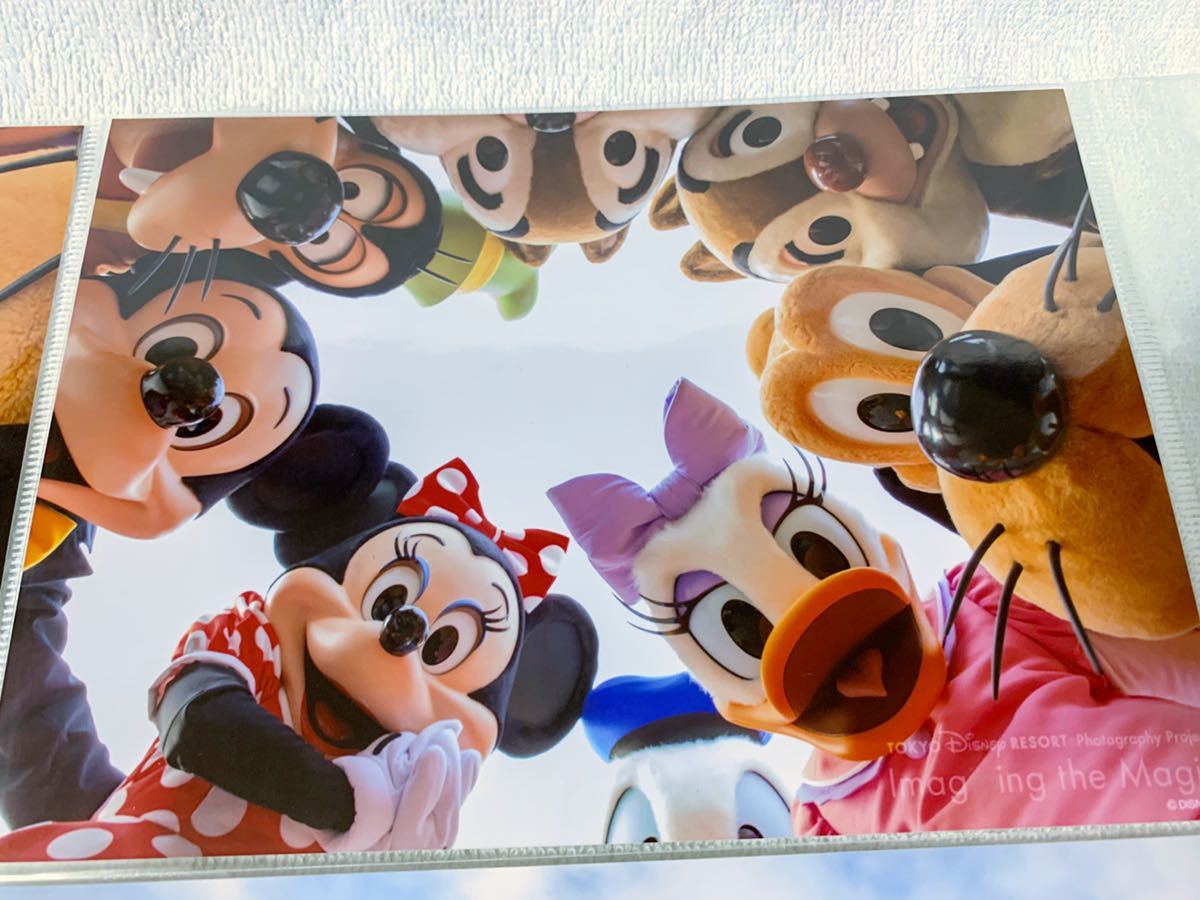 新品 新品未開封 ディズニー 生写真2 篠山紀信 イマジニングザマジック ミッキー ミニー ドナルド デイジー ホテル 東京ディズニーランド Tdl の落札情報詳細 ヤフオク落札価格情報 オークフリー スマートフォン版