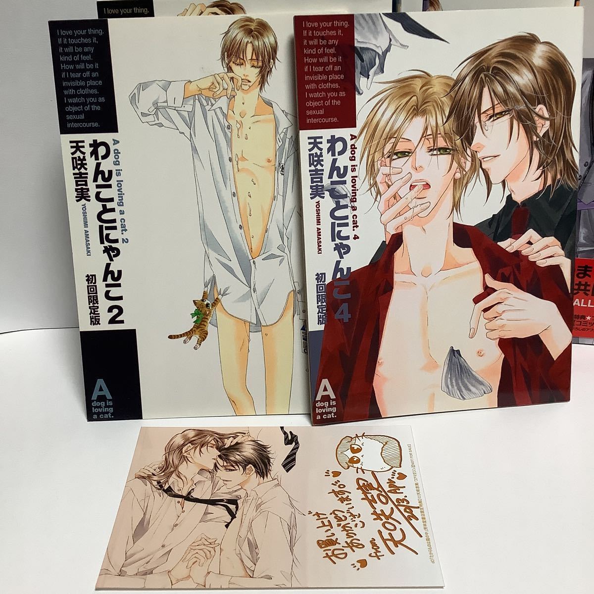 天咲吉実 わんことにゃんこ 全7巻 限定版小冊子付き たからものは箱の中 スピンオフ ブロマイド難有り の落札情報詳細 ヤフオク落札価格情報 オークフリー スマートフォン版