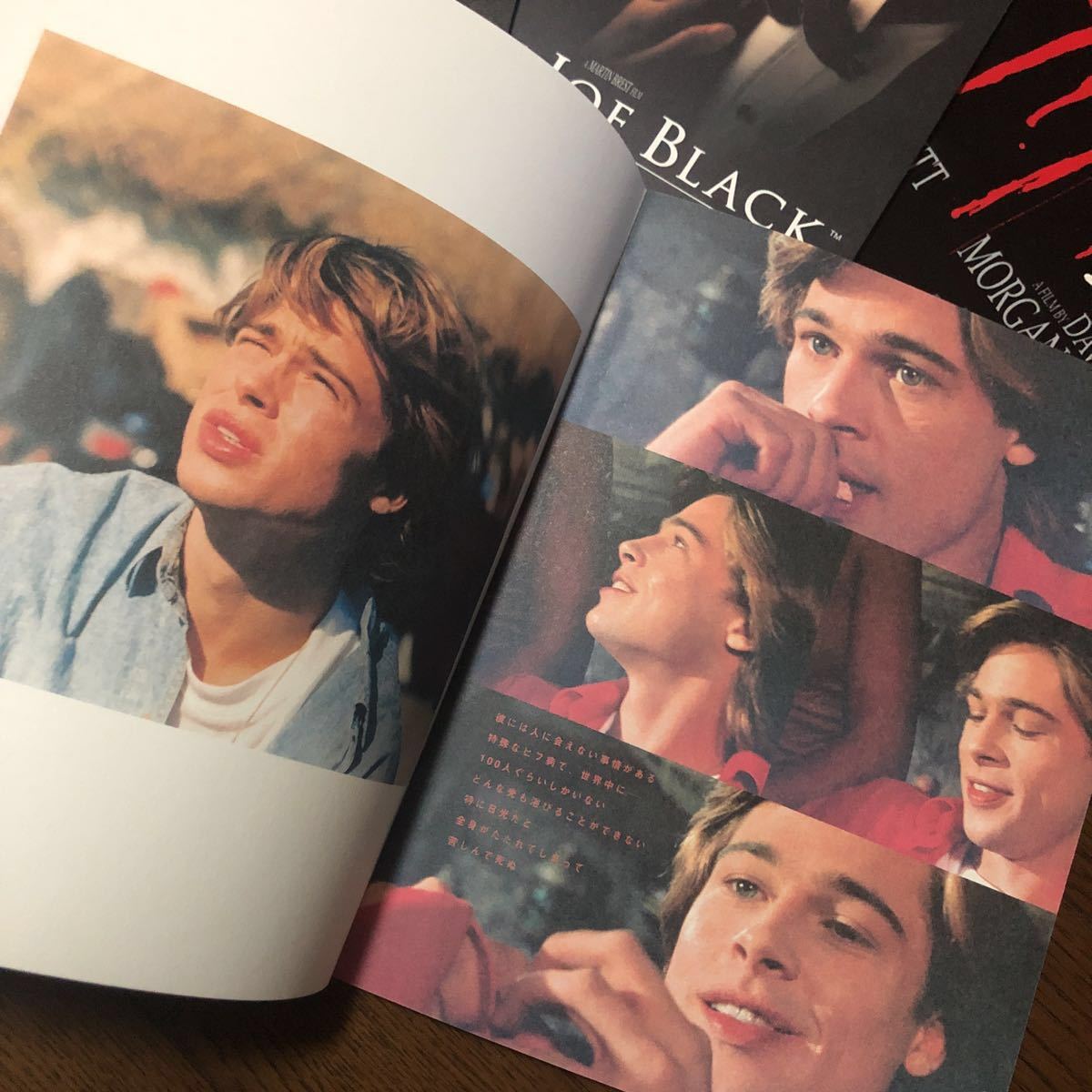 ブラッド・ピット映画パンフレット17冊 ブラッド・ピット映画パンフレット17冊