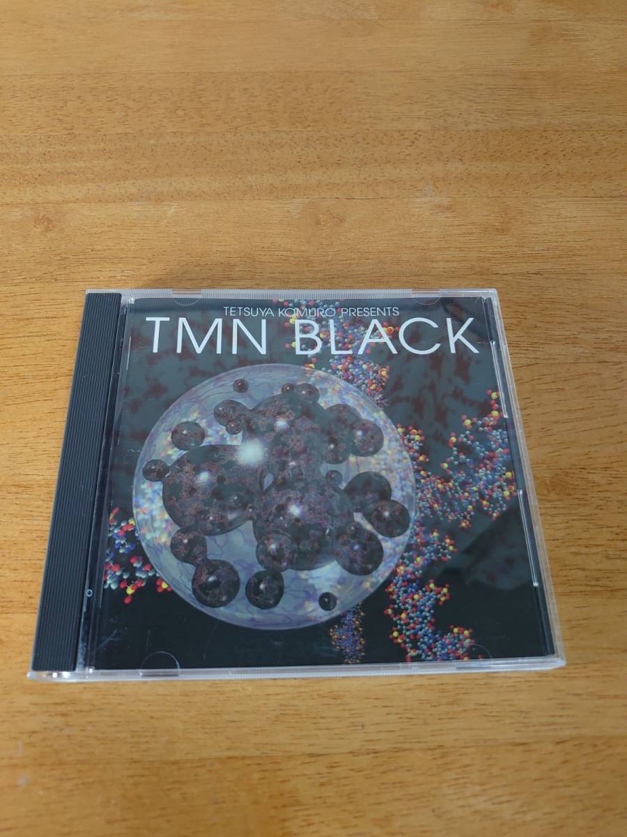 小室哲哉 TETSUYA KOMURO TM NETWORK 非売品 CD
