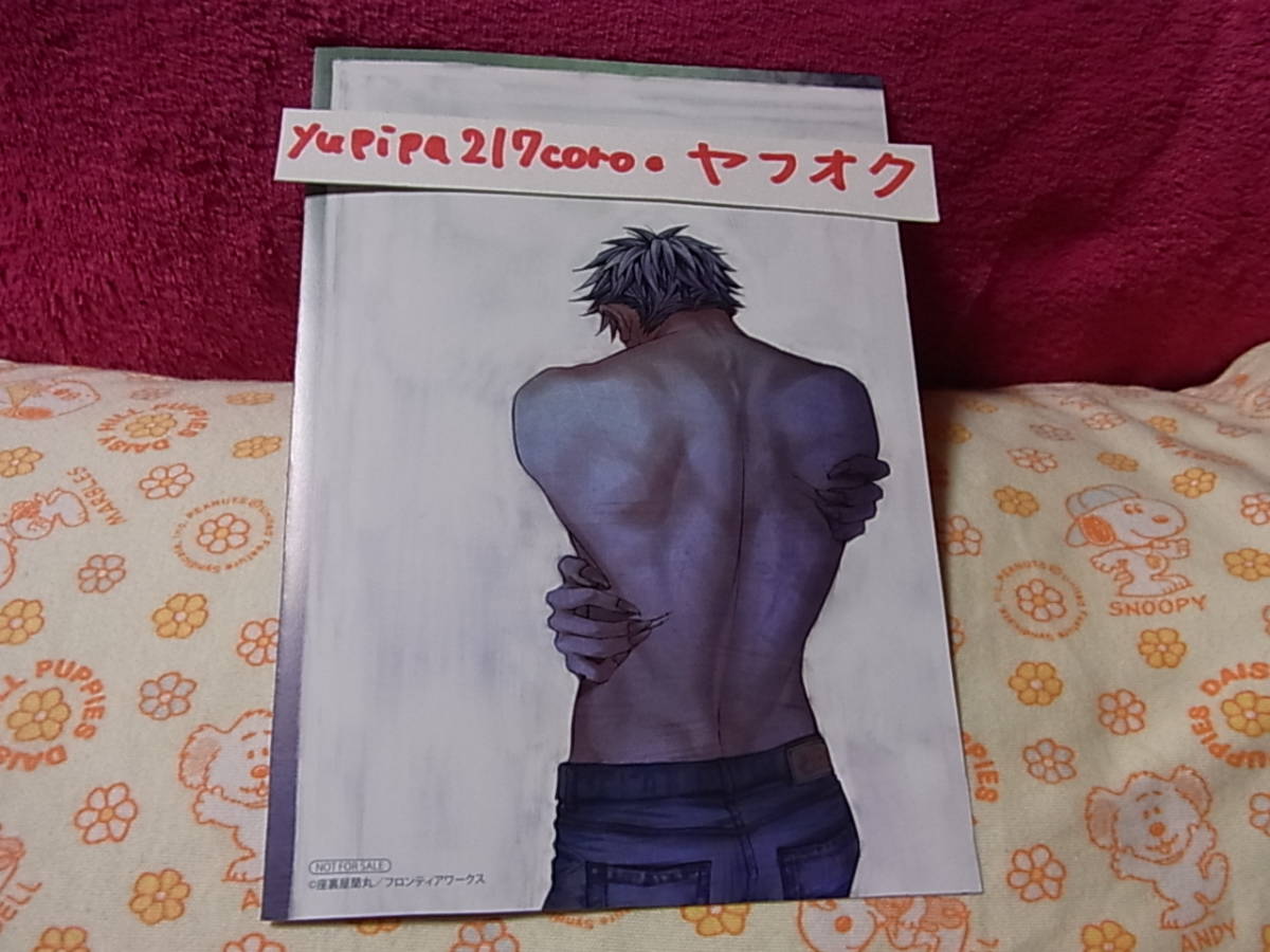 コヨーテ 2 座裏屋蘭丸 アニメイト 限定 リーフレット のみ Blcd コミック 連動 購入 特典 描き下ろし 4ｐリーフレット Cd 本なし の落札情報詳細 ヤフオク落札価格情報 オークフリー スマートフォン版