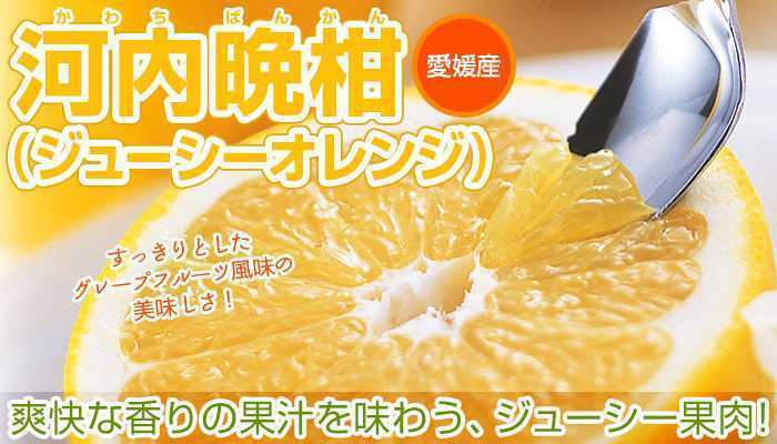 新品 愛媛産 河内晩柑 kg 訳あり 送料無料 愛媛県産 和製グレープフルーツ ばんかん 宇和ゴールド みしょうかん 美生柑 家庭用 旬の果物 の落札情報詳細 ヤフオク落札価格情報 オークフリー スマートフォン版