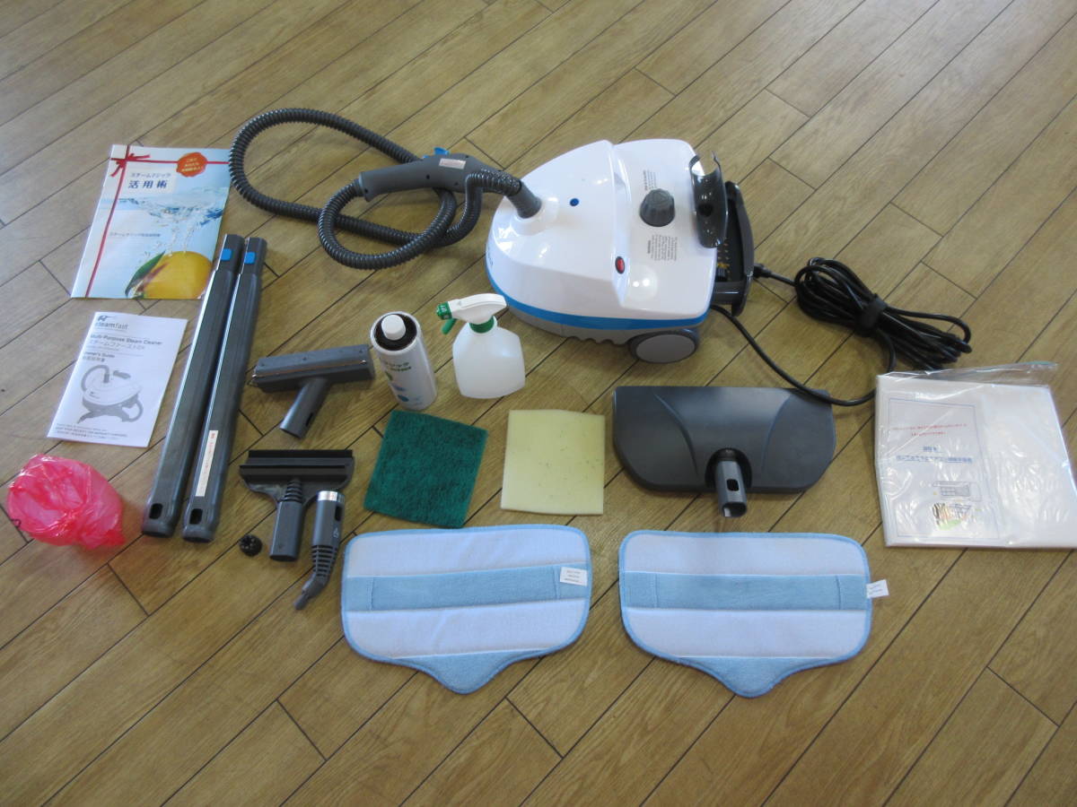 スチームファーストDX SF-370WHDIR スチームクリーナー 47550 ネス