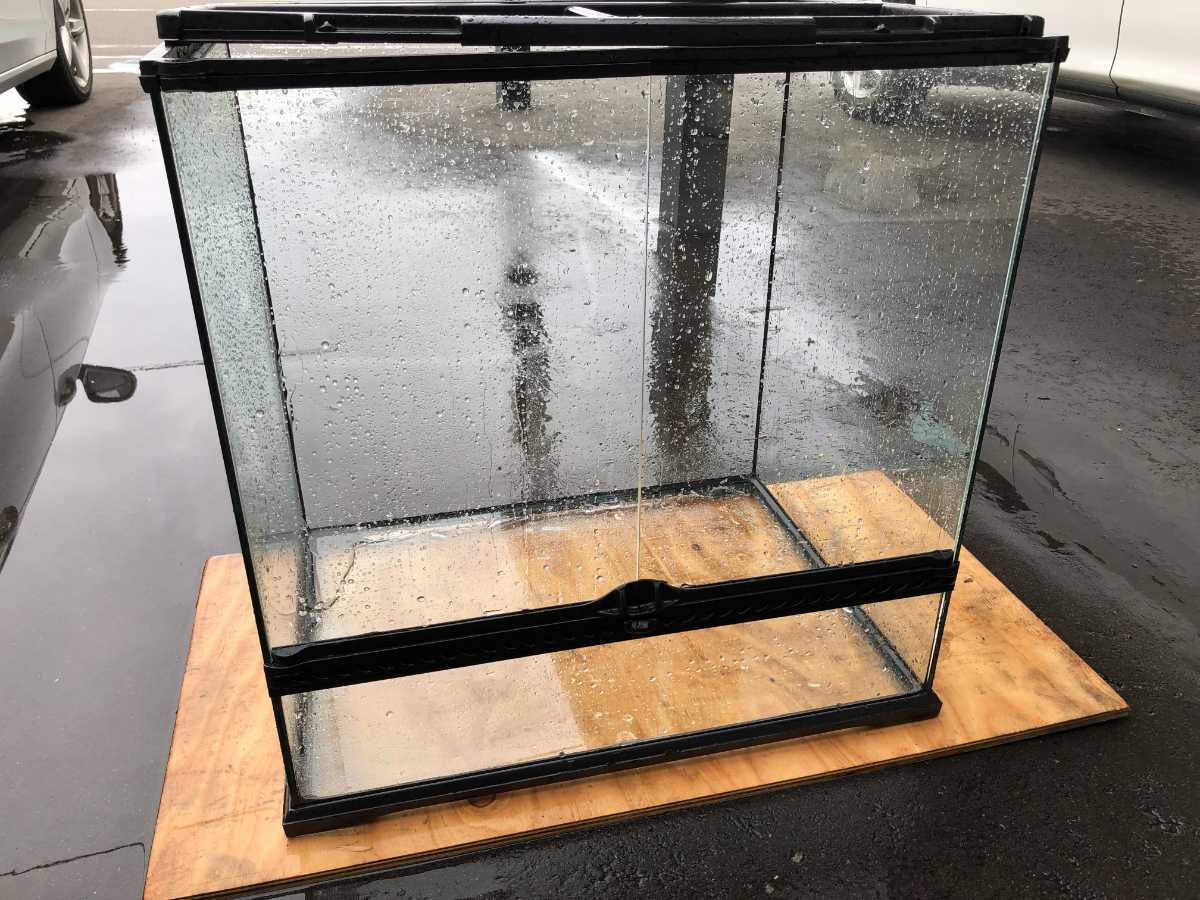 新素材新作 チャーム charm 店ＧＥＸ エキゾテラ グラステラリウム ...