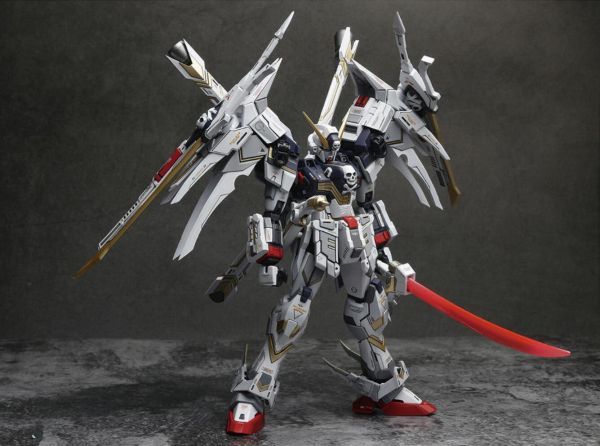 新品】(GK-173)MG 1/100 クロスボーンガンダムX-1フルクロス 改造