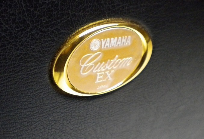 高級品 ヤマハテナーサックス用ケース （YAMAHA CUSTOM EX YTS-875EX