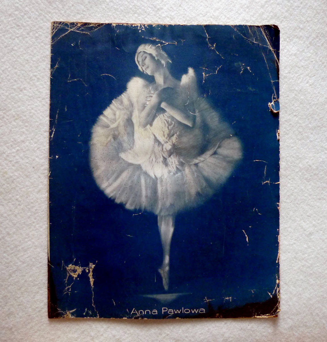 Anna Pavlova アンナ パヴロワ Bruno Cassirer ブルーノ カッシーラー の落札情報詳細 ヤフオク落札価格情報 オークフリー スマートフォン版