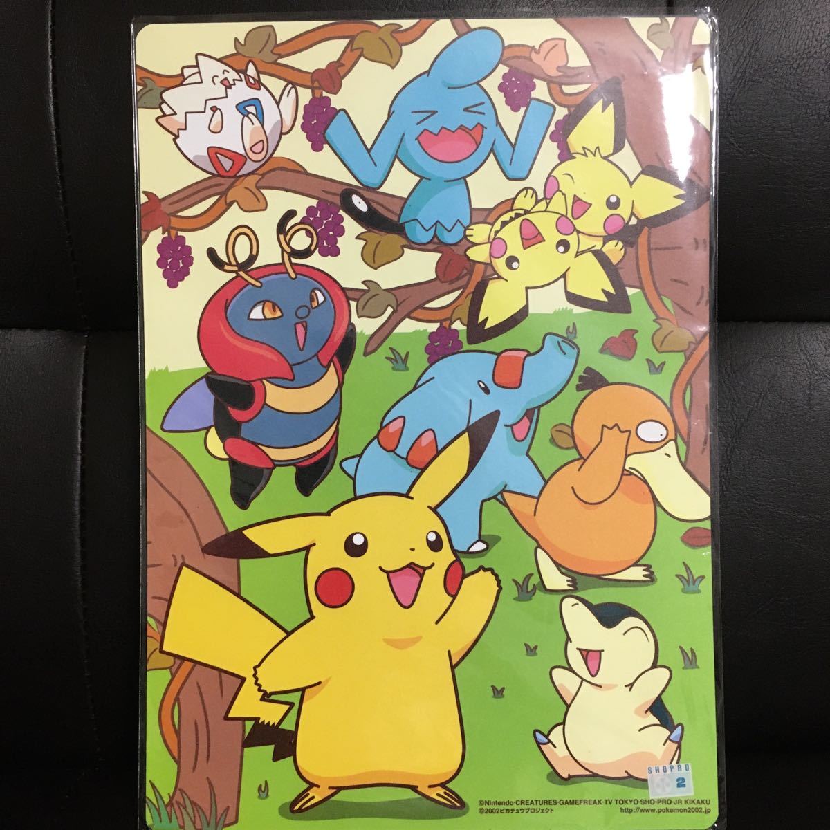 えいがポケットモンスターピカ☆ピカ星空キャンプ ピチュー