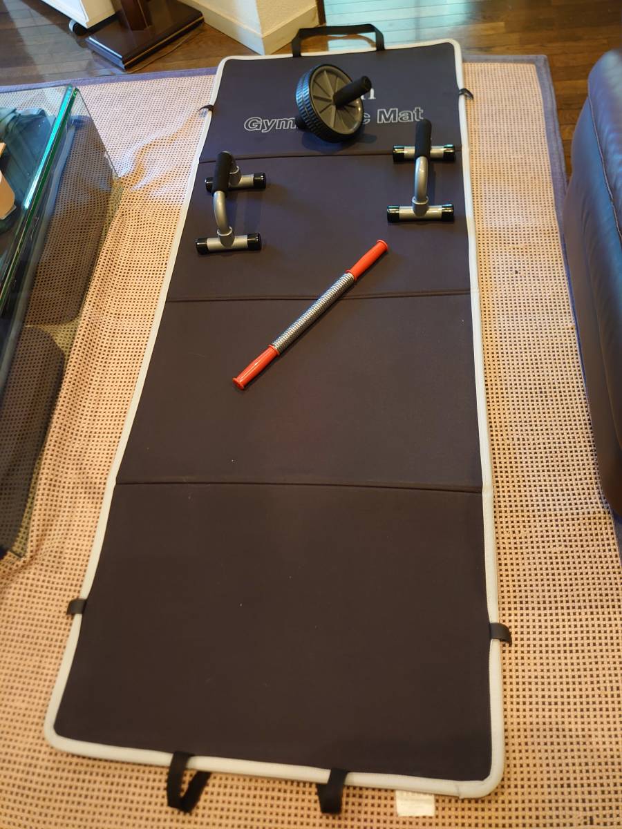 筋トレグッズ一式 プッシュアップバー 腹筋ローラー 胸筋スプリング マット バランスボール ミニボール 自重筋トレbook の落札情報詳細 ヤフオク落札価格情報 オークフリー スマートフォン版