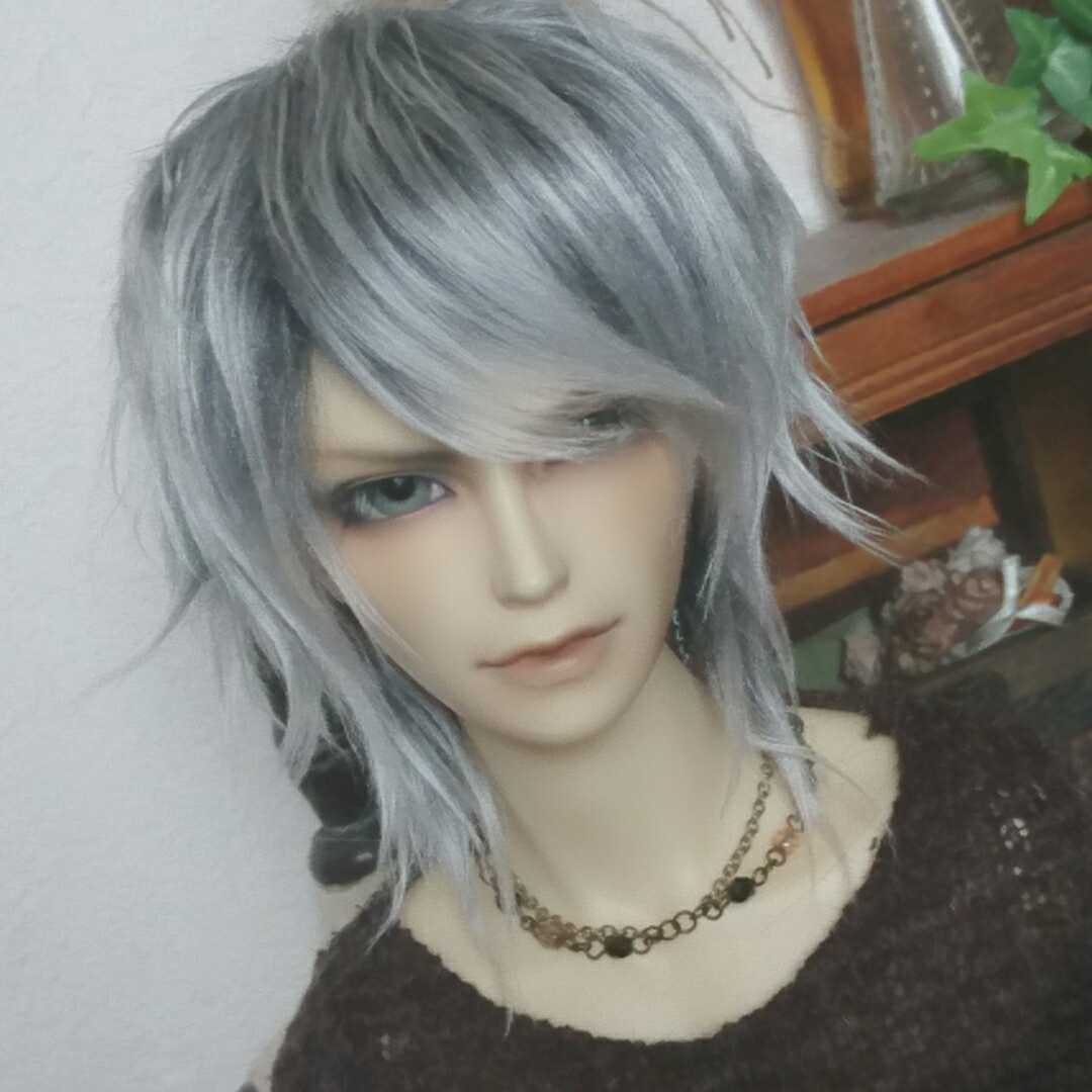 新品 ボアウィッグ銀 襟足ロング 9インチ の落札情報詳細 ヤフオク落札価格情報 オークフリー スマートフォン版