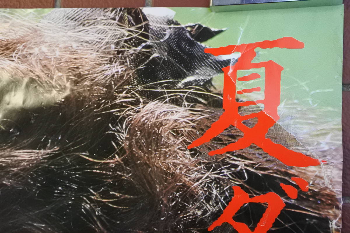 ポスター☆資生堂サンフレア☆トリー・メンドーサ103×72.5㎝の落札情報