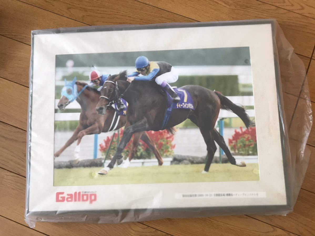菊花賞馬ディープインパクト号パネル写真