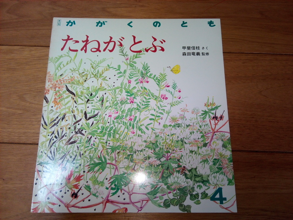 たねがとぶ 甲斐信枝/森田竜義〈かがくのとも:通巻217号〉ペーパー