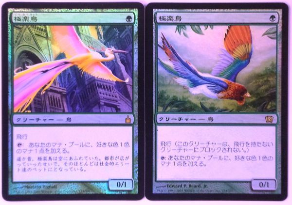 MTG 極楽鳥 FOIL 8th 日本語 極楽鳥 FOIL RAV ラヴニカ foil 日本語 2