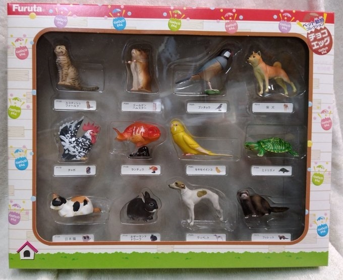 海洋堂 フルタ チョコエッグ ペット動物コレクションボックス 第1弾