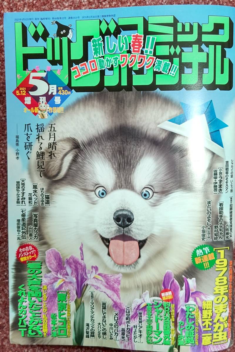 ビッグコミックオリジナル 5月増刊号 21年5月12日号 定価430円 の落札情報詳細 ヤフオク落札価格情報 オークフリー スマートフォン版