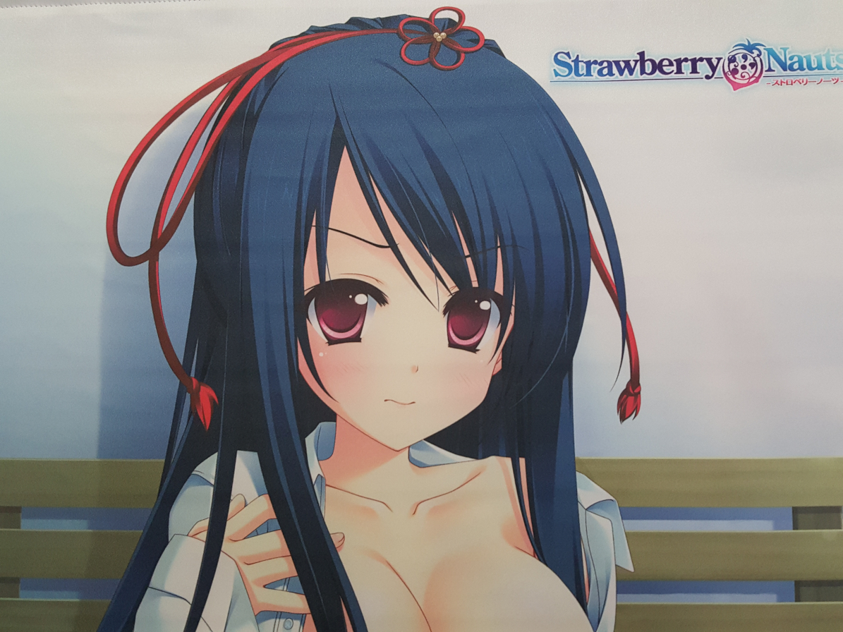 Strawberry Nauts ストロベリーノーツ 八束愛姫 B2タペストリー グッドウィル特典 Hook 松下まかこ 羽鳥ぴよこ もとみやみつき の落札情報詳細 ヤフオク落札価格情報 オークフリー スマートフォン版