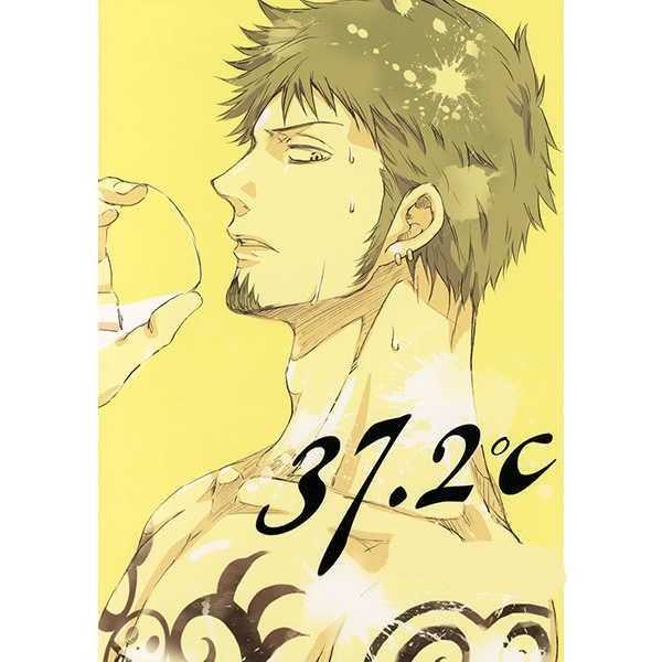 One Piece ワンピース One Picec 同人誌 トラファルガー ロー モンキー D ルフィ ロー ルフィ ロール 37 2 の落札情報詳細 ヤフオク落札価格情報 オークフリー スマートフォン版