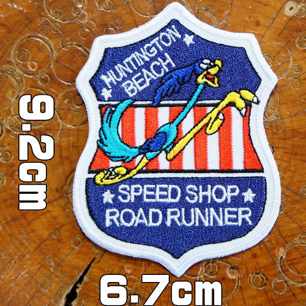 湾岸MAX SPEED RUNNER　超速域にすべてを懸ける闇のランナーたち 湾岸max speed runner 超速域にすべてを懸ける闇のランナーたち