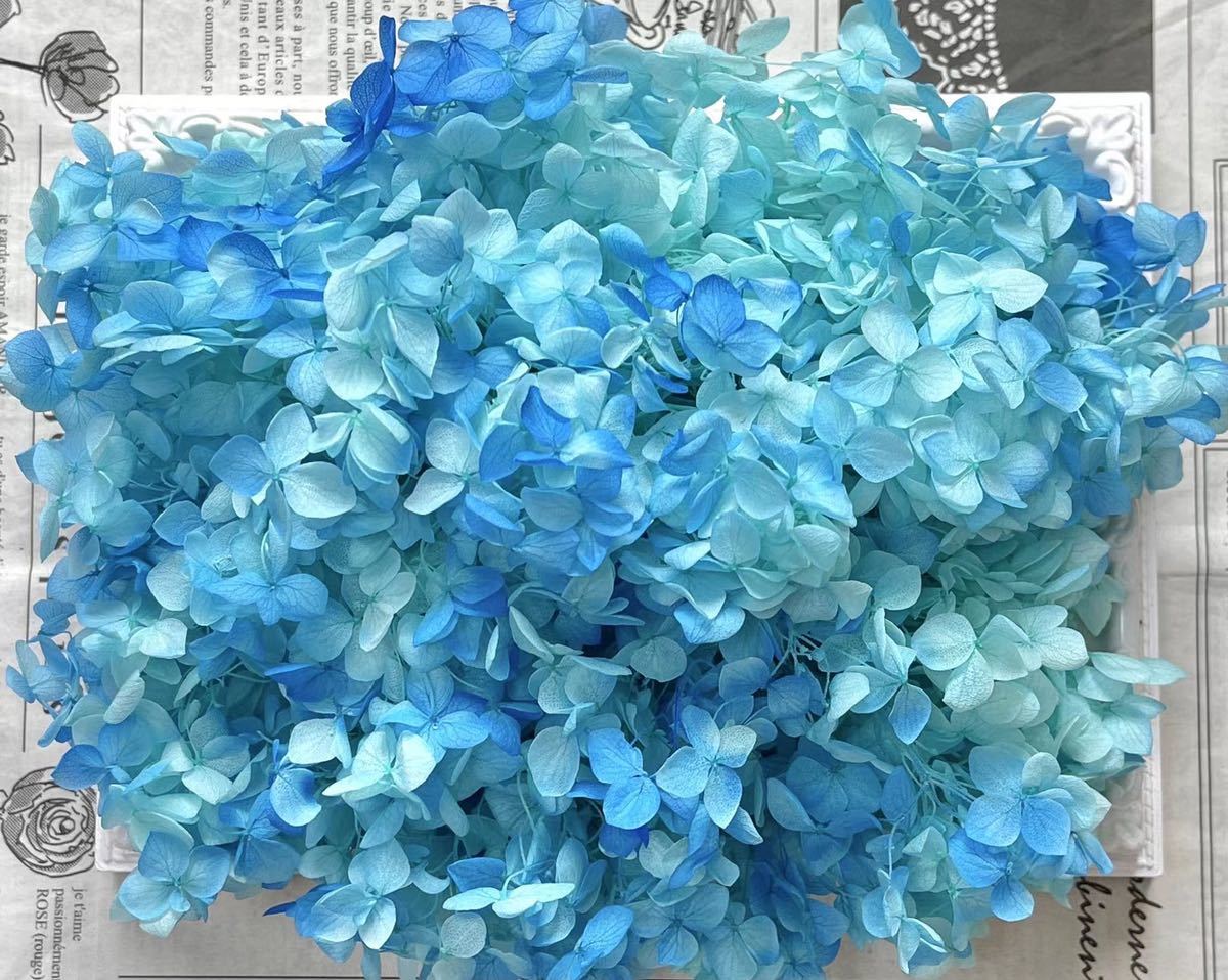 新品】【ハーバリウム 花材 / ティファニーブルー】あじさい 紫陽花 ローズ かすみ草 シルバーデージー プリザーブドフラワー 大地農園 の落札情報詳細| ヤフオク落札価格情報 オークフリー・スマートフォン版 新品】【ハーバリウム 花材 / ティファニーブルー】あじさい 紫陽花 ローズ かすみ草 シルバーデージー プリザーブドフラワー 大地農園 の落札情報詳細| ヤフオク落札価格情報 オークフリー・スマートフォン版
