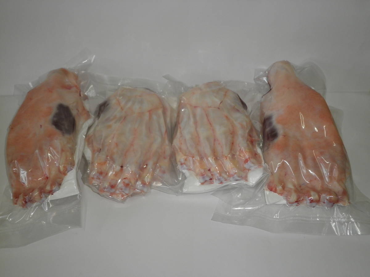 超特大！ 超高級食材！ ヒグマの足 半頭分 熊の手 熊手 熊足 熊掌 熊肉 ...