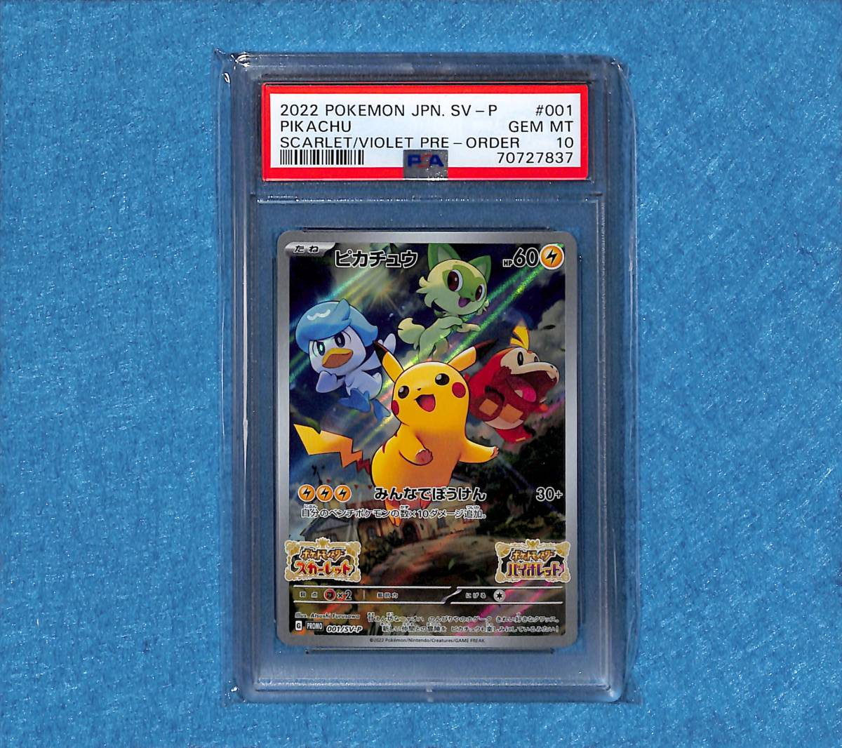 ポケモン カード Bw ピカチュウ プロモ スカーレット